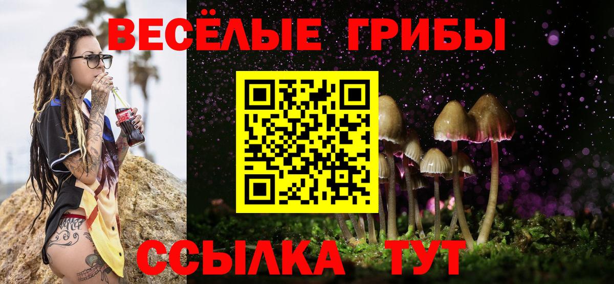 Псилоцибиновые грибы ЛСД Дедовск