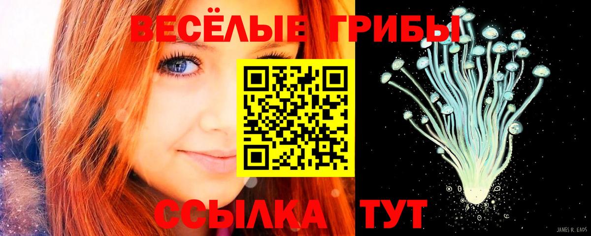 Галлюциногенные грибы MAGIC MUSHROOMS  Вход с VPN  наркота  Дедовск 