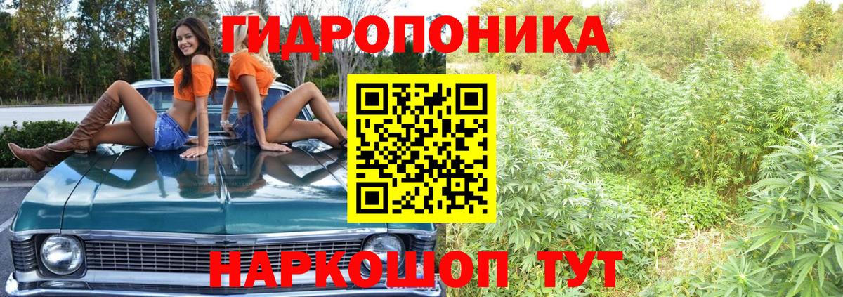 Марихуана индика Дедовск